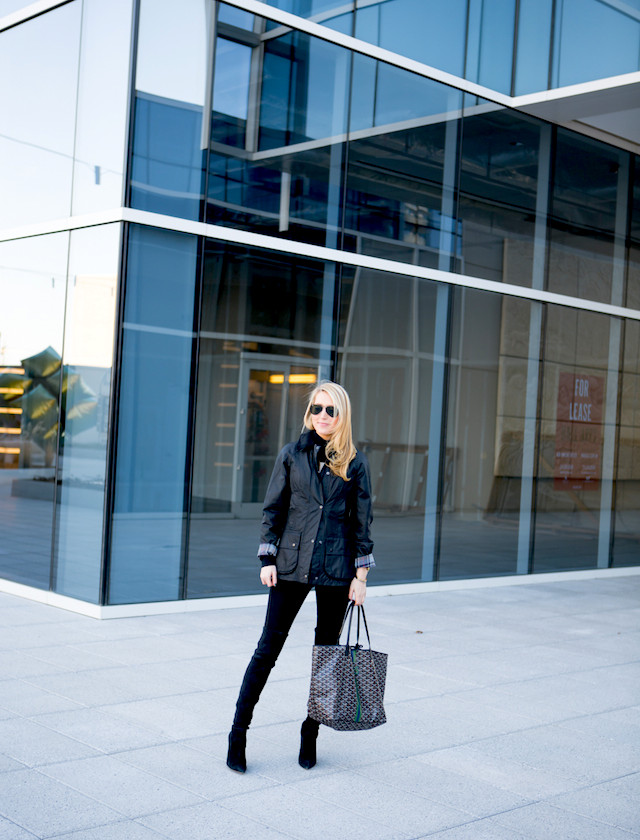 ST. BERNARD | Krystal Schlegel