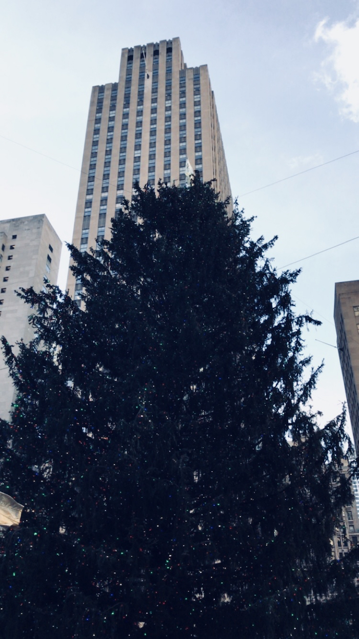 rockefeller christmas tree nyc - NYC Travel guide